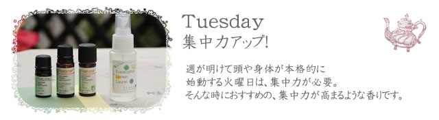 aloma01-02 【火曜日】「集中力アップ!」