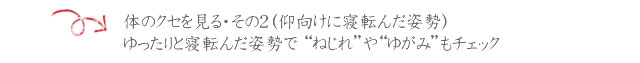 pelvis_01_04 ■体のクセを見る・その2(仰向けに寝転んだ姿勢)ゆったりと寝転んだ姿勢で“ねじれ”や“ゆがみ”もチェック