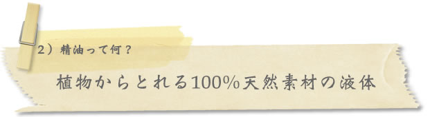 植物からとれる100%天然素材の液体